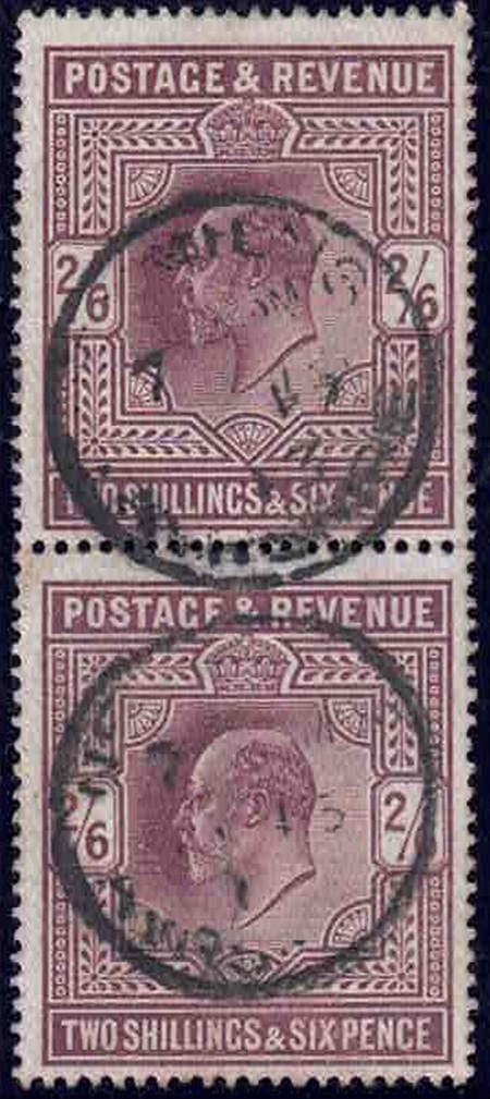 edvii-sg-316-dull-reddish-purple-vertical-pair