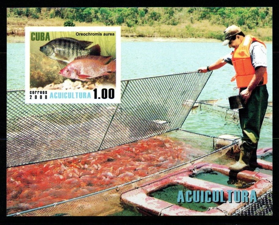 sgms5190-2008-aquaculture-mnh