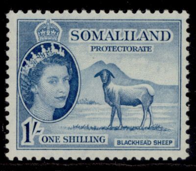 somaliland-protectorate-qeii-sg144-1s-light-blue-m-mint
