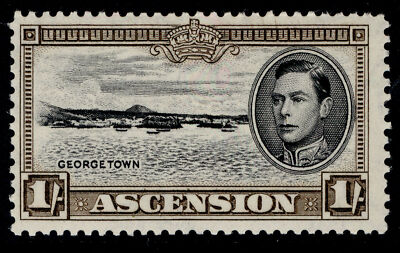 ascension-gvi-sg44a-1s-black-sepia-m-mint