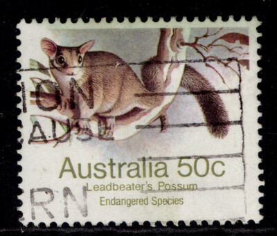 australia-qeii-sg796a-1981-50c-leadbeaters-possum-fine-used-perf-14-x-14