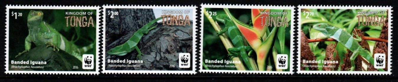 tonga-sg1804-7-2016-endangered-species-banded-iguana-mnh