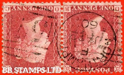 sg-40wi-c10-1-e-ob-oc-1d-rose-red-plate-44-inverted-watermar-b83689