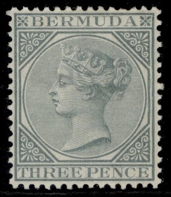 bermuda-qv-sg28-3d-grey-m-mint-cat-24