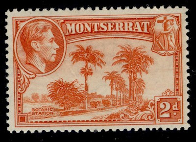 montserrat-gvi-sg104-2d-orange-m-mint-cat-28