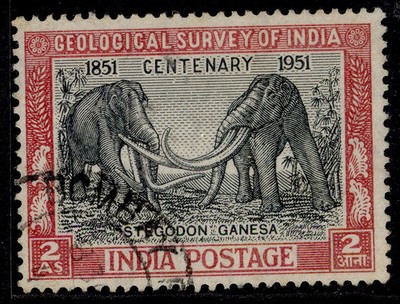 india-gvi-sg334-2a-black-claret-fine-used