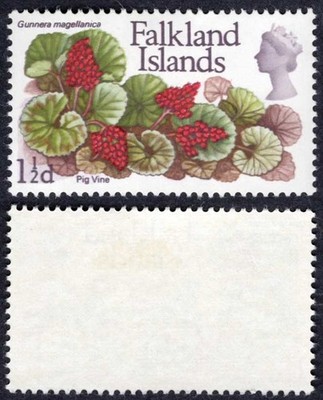 falkland-is-heijtz-162v1-slate-purple-printed-doubled-m-m