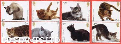 sg-4676-4683-2022-cats-4-vertical-pairs-2x1st-2x2nd-2x1-85-2x2-55-pack-no
