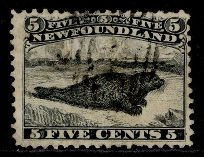 canada-newfoundland-qv-sg38-5c-black-used-cat-120