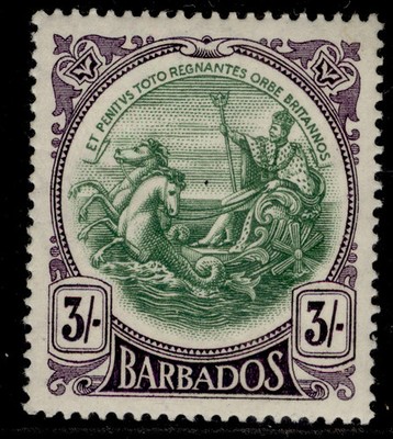barbados-gv-sg200-3s-green-deep-violet-lh-mint-cat-32