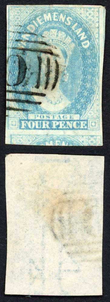 tasmania-sg36-4d-pale-blue-cat-26-pounds