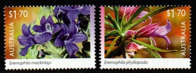 australia-2026-eremophilas-mnh