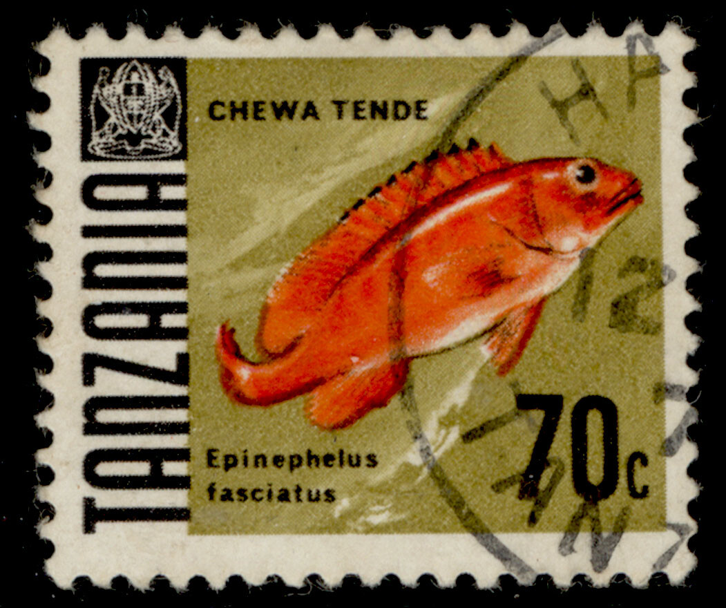 tanzania-qeii-sg150-1969-75c-fine-used