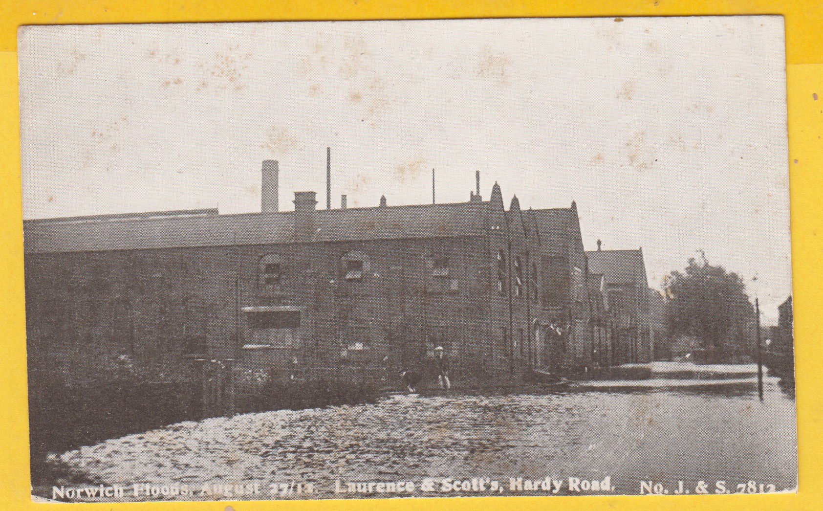 postcard-norfolk-floods-august-2712-laurence-scotts-hardy-road