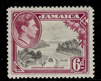 jamaica-gvi-sg128-6d-grey-purple-m-mint