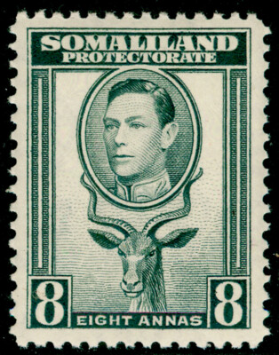 somaliland-protectorate-sg99-8a-grey-vlh-mint