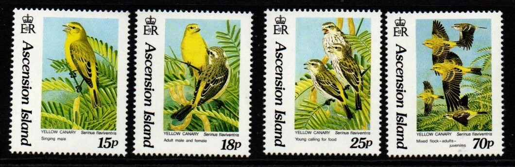 ascension-sg591-4-1993-yellow-canary-mnh