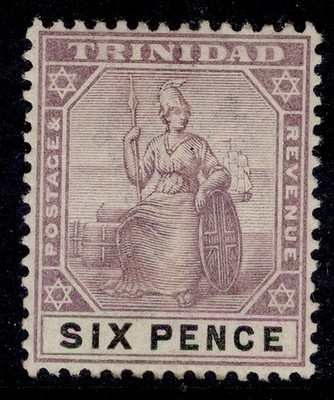 trinidad-qv-sg120-6d-dull-purple-black-m-mint