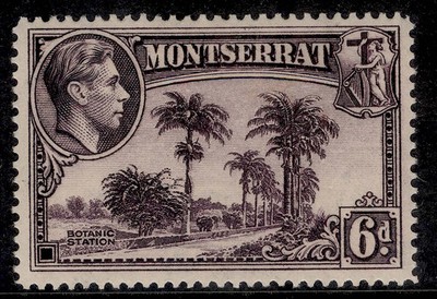 montserrat-gvi-sg107a-6d-violet-nh-mint-perf-14