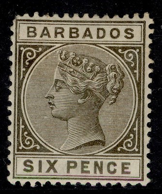 barbados-qv-sg100-6d-olive-black-m-mint-cat-75