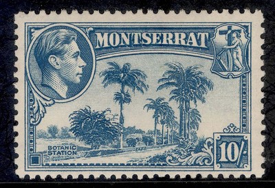 montserrat-gvi-sg111-10s-pale-blue-m-mint-cat-25