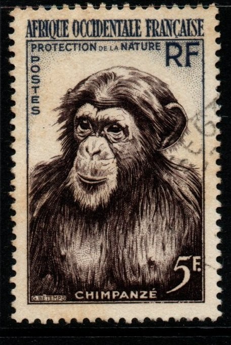 french-west-africa-sg82-1955-5f-chimpanzee-fine-used