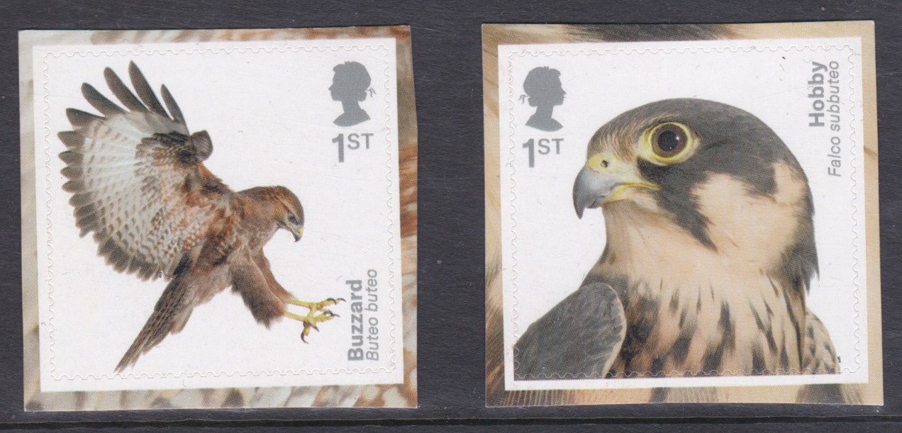 pm66-2019-sg4210-4211-birds-of-prey-1st-class-stamps-out-of-booklet-u-m