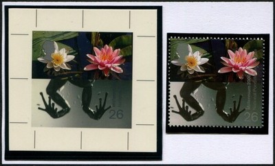 2000-millenium-projects-water-coast-26p-sg-2135-photographic-trial