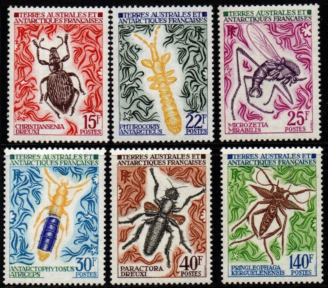 french-southern-antarctic-territories-sg72-7-1972-insects-mnh