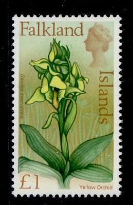 falkland-islands-qeii-sg245-1-nh-mint-cat-15