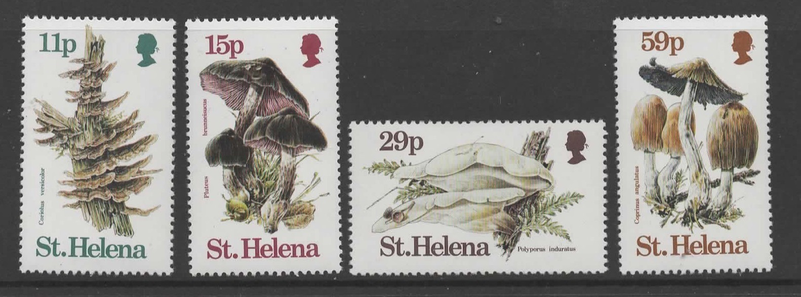 st-helena-sg415-8-1983-fungi-mnh