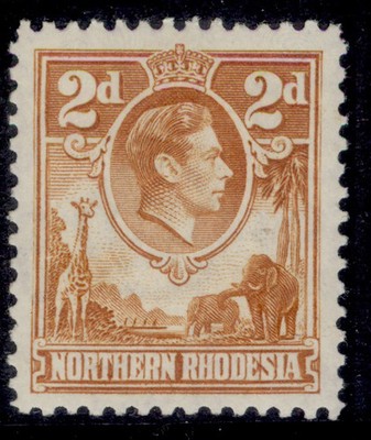 northern-rhodesia-gvi-sg31-2d-yellow-brown-m-mint-cat-50
