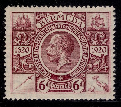 bermuda-gv-sg72-6d-purple-m-mint-cat-19