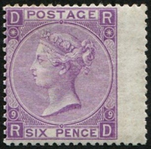 6d-sg-109-pl-9-u-m-super-fresh-with-lovely-colour