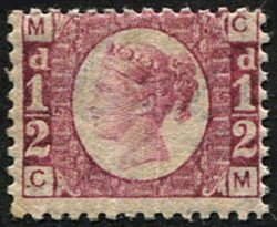 d-sg-48-pl-5-u-m-fresh-strong-colour-c-110