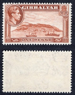gibraltar-sg122d-1d-red-brown-perf-13-superb-u-m-cat-6-pounds