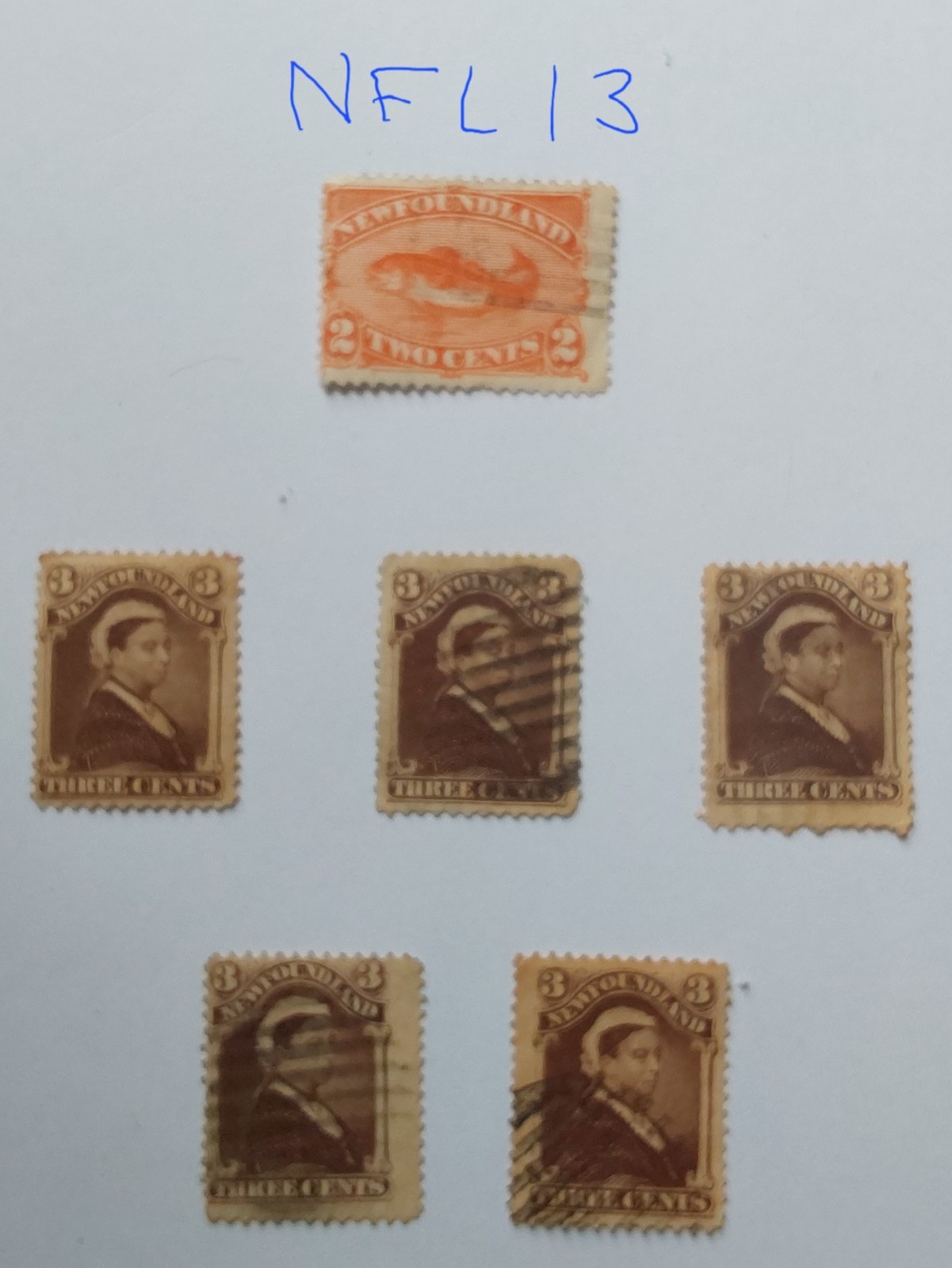 newfoundland-1887-2c-orange-cod-3c-dark-brown-col-vars-used-nfl13