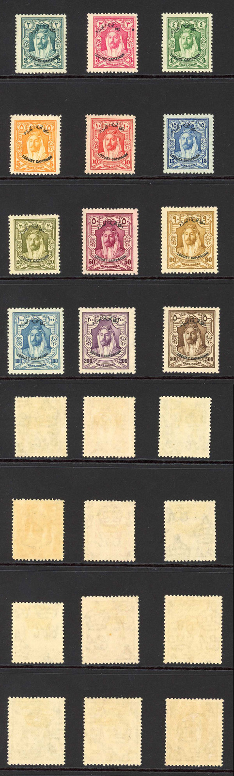 transjordan-sg183-94-200m-vertical-crease-fresh-colour-m-m-cat-225-pounds