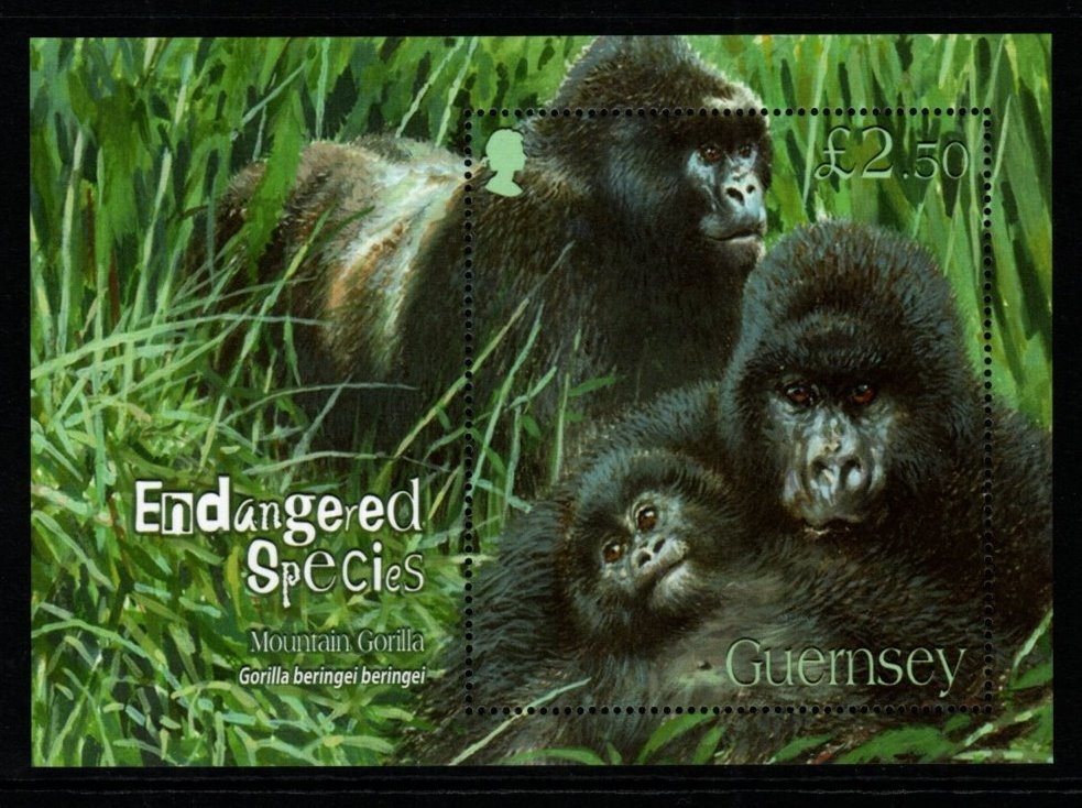 guernsey-sgms1173-2007-endangered-species-mnh