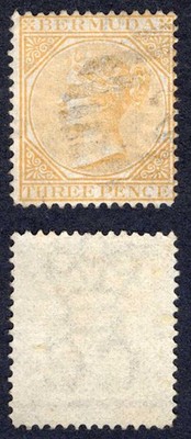 bermuda-sg5a-3d-yellow-buff-wmk-cc-perf-14-cat-65-pounds
