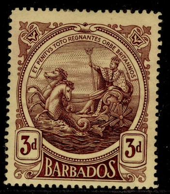 barbados-gv-sg186a-3d-deep-purple-yellow-m-mint-cat-45