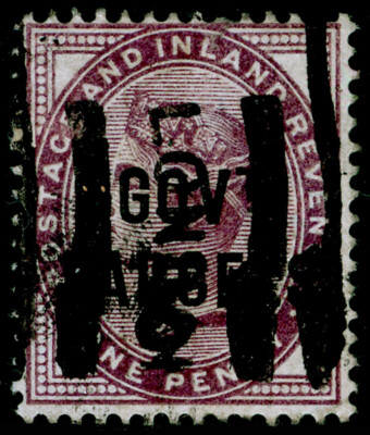 sgo69-1d-lilac-used-cat-30