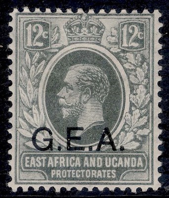 tanganyika-gv-sg50-12c-slate-grey-m-mint