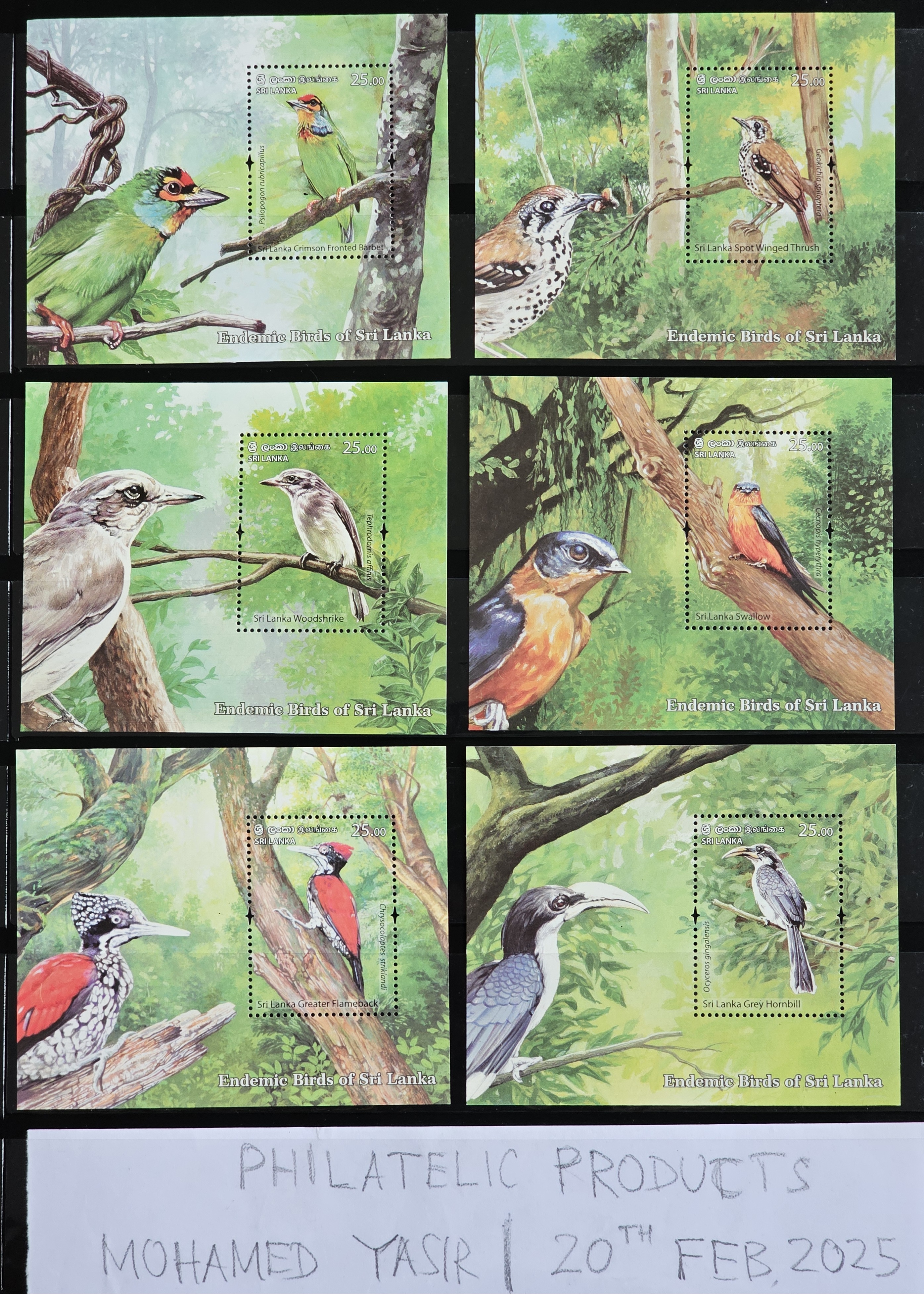 endemic-birds-of-sri-lanka-2021-mnh-set-of-6-souvenir-sheets-fauna-animals