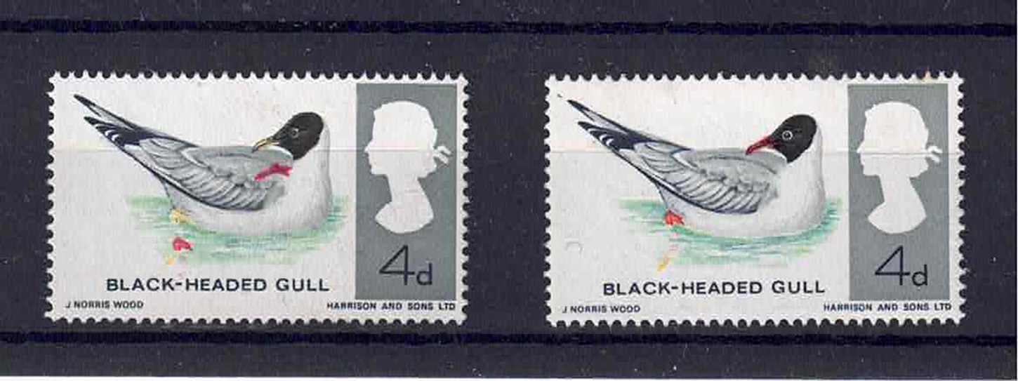 qe11-1966-birds-4d-showing-large-shift-of-red-beak-and-foot-m-m-with-normal