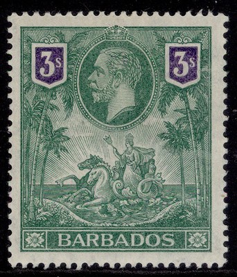 barbados-gv-sg180-3s-green-violet-m-mint-cat-120