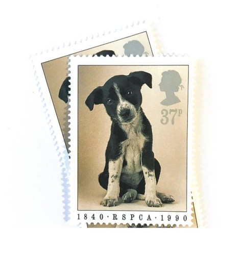 3-x-rspca-puppy-1990-37p-unused-gb-mint-mnh-vintage-british-postage-stamps