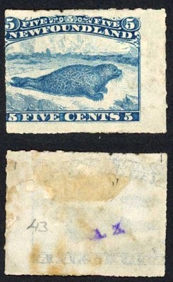 newfoundland-sg43-5c-roulette-m-m-cat-225-pounds