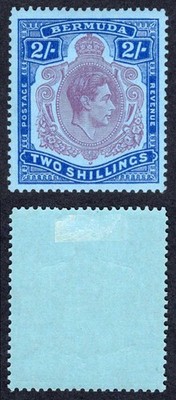 bermuda-sg116e-2-dull-purple-and-blue-pale-blue-perf-13-m-m-cat-13-pounds