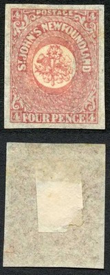 newfoundland-sg18-4d-rose-lake-fine-m-m-cat-50-pounds